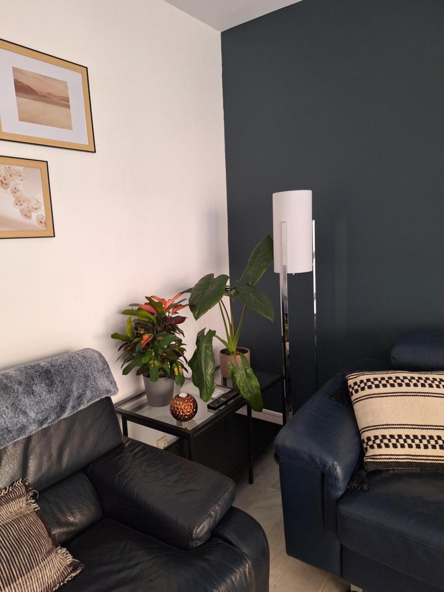 Appartement T3 Plein Centre Сен-Рафаель Екстер'єр фото